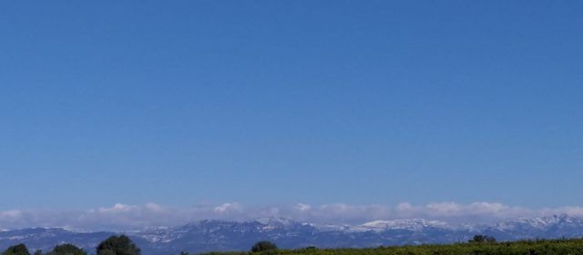 El “parte” del temps: avui solet, a gaudir-ne que pot ser demà no en farà tant