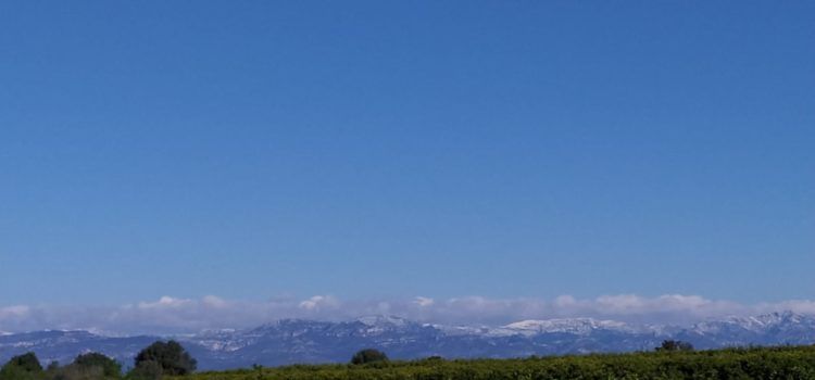 El “parte” del temps: avui solet, a gaudir-ne que pot ser demà no en farà tant