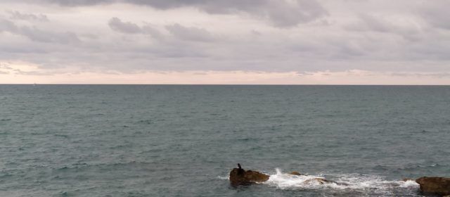 El “parte” del temps: els models donen aigua per a avui i part de demà
