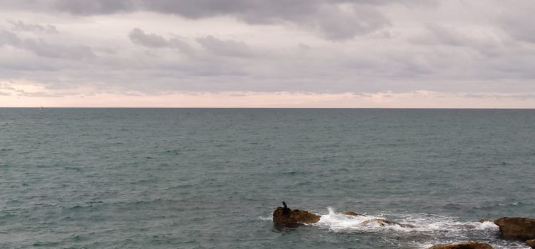 El “parte” del temps: els models donen aigua per a avui i part de demà
