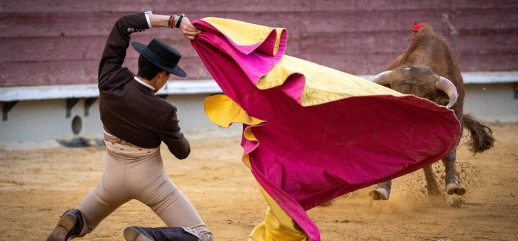 Iker de Virgilio, única puerta grande en Castellón