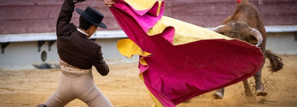 Iker de Virgilio, única puerta grande en Castellón