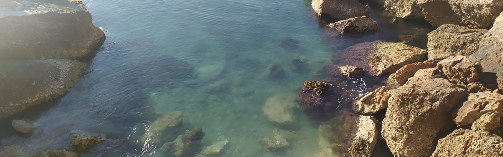 El “parte” del temps: per a divendres a la nit donen mestral amb una mica de ganes