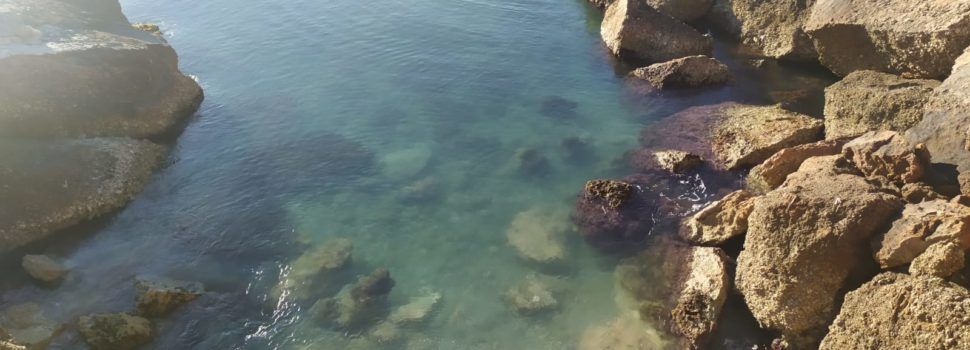 El “parte” del temps: per a divendres a la nit donen mestral amb una mica de ganes