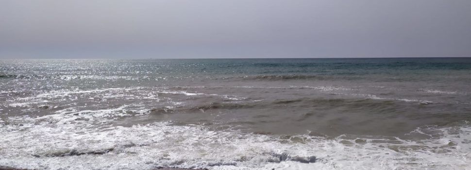 El “parte” del temps: la Sra. Jana ens va enviant frontets