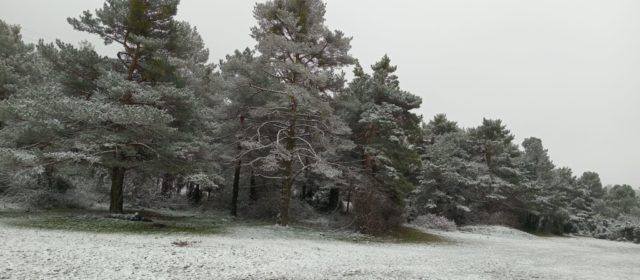 Comença març amb nevadeta a Els Ports