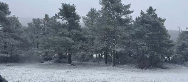 Neu a Els Ports