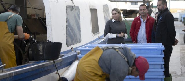 La Diputació de Castelló activa la convocatòria d’ajudes a les confraries de pescadors de la província