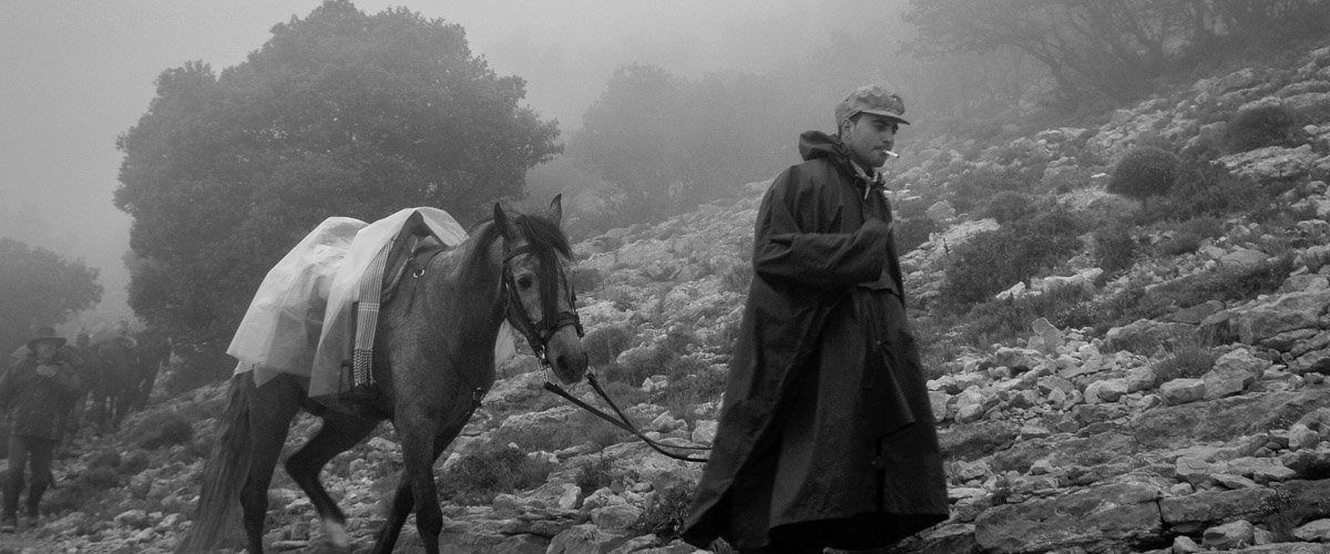 Resultats març 2025 Blanc i Negre de Foto Maestrat