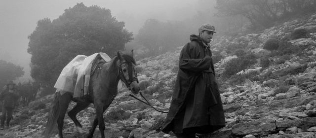 Resultats març 2025 Blanc i Negre de Foto Maestrat