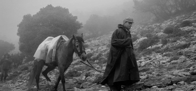 Resultats març 2025 Blanc i Negre de Foto Maestrat