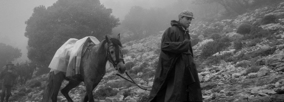 Resultats març 2025 Blanc i Negre de Foto Maestrat