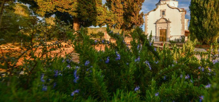Alcalà-Alcossebre conjugarà competitivitat turística i adaptació al canvi climàtic a través d’un nou pla finançat amb fons europeus