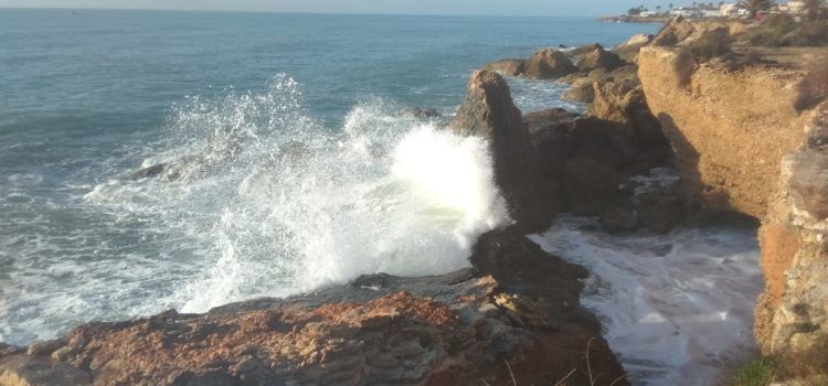 El “parte” del temps: ja no ha de ploure en 4 o 5 dies, temperatures prou estables