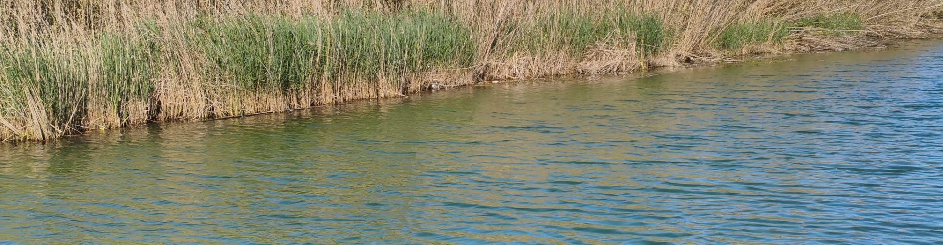 El “parte” del temps: avui caloreta i demà encara més