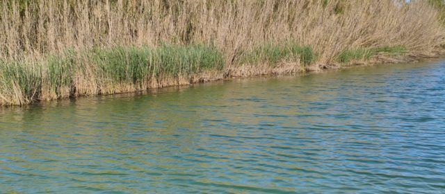 El “parte” del temps: avui caloreta i demà encara més
