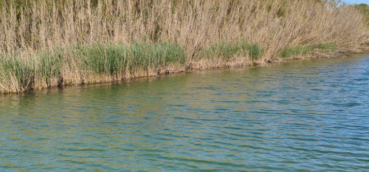 El “parte” del temps: avui caloreta i demà encara més