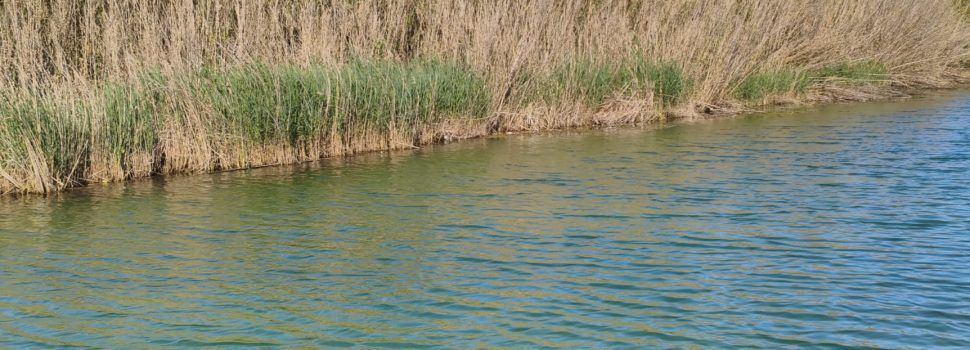El “parte” del temps: avui caloreta i demà encara més
