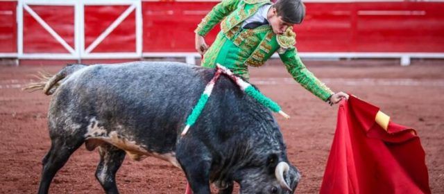 Mario Vilau confirma su reaparición en Vinaròs este sábado