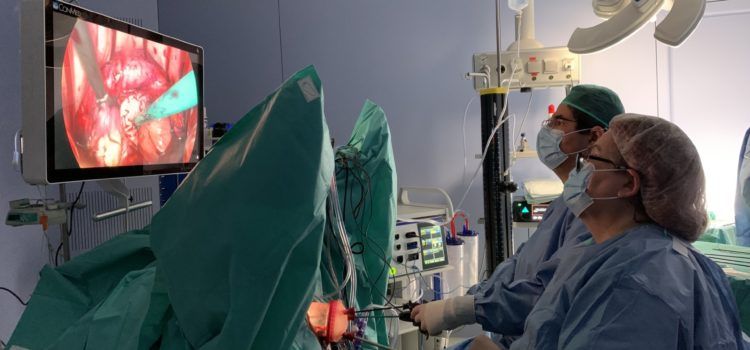 L’Hospital Comarcal d’Amposta se situa a l’avantguarda en cirurgia ginecològica amb la aplicació de histerotomia sense dolor ni cicatriu