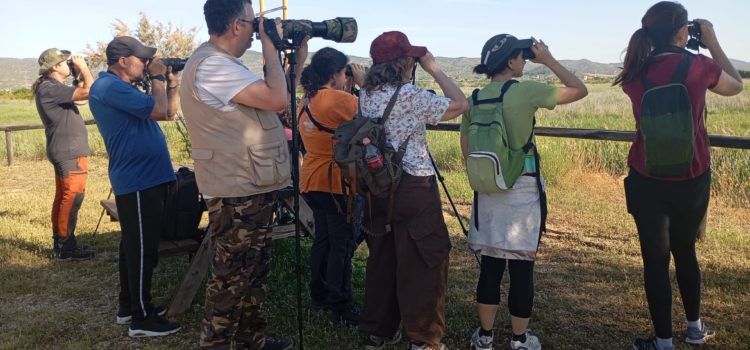 APNAL-Ecologistas en Acción de Vinaròs realizó su XIV curso formativo de iniciación a la ornitología
