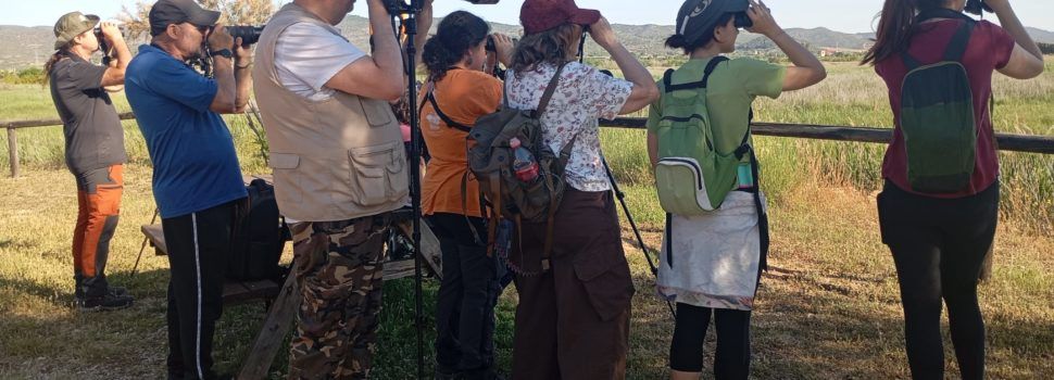 APNAL-Ecologistas en Acción de Vinaròs realizó su XIV curso formativo de iniciación a la ornitología
