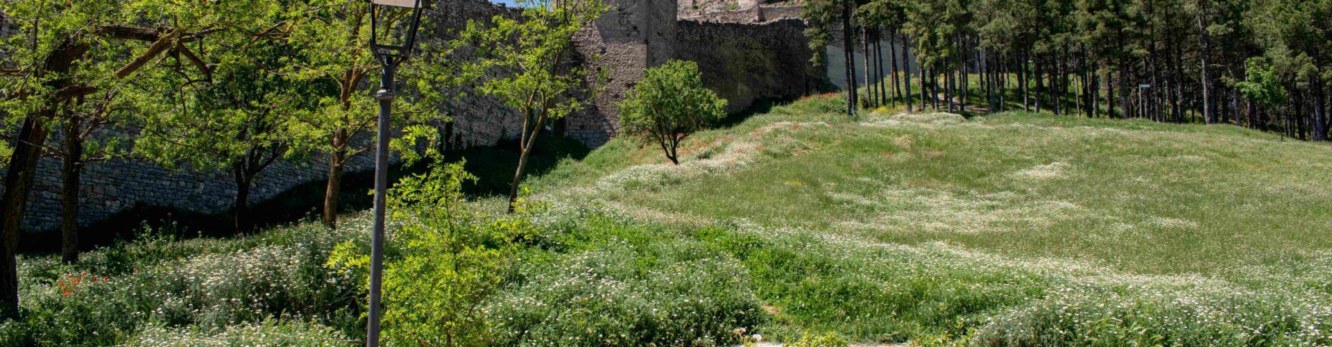 L’Alameda de Morella estrena un nou aspecte amb plantes ornamentals i sistema de reg