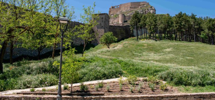 L’Alameda de Morella estrena un nou aspecte amb plantes ornamentals i sistema de reg