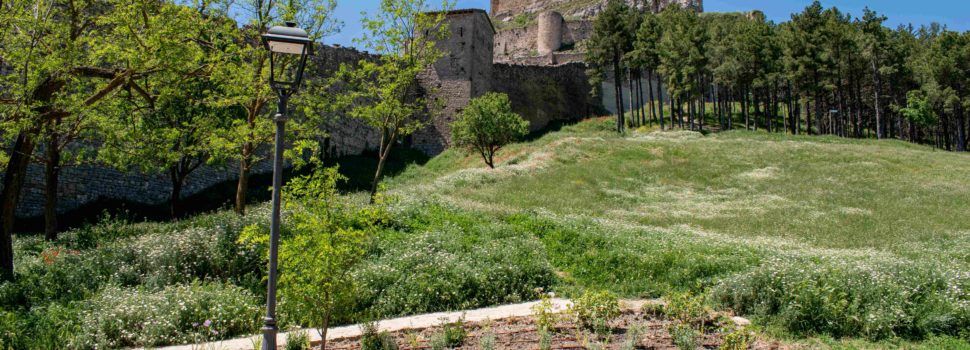 L’Alameda de Morella estrena un nou aspecte amb plantes ornamentals i sistema de reg