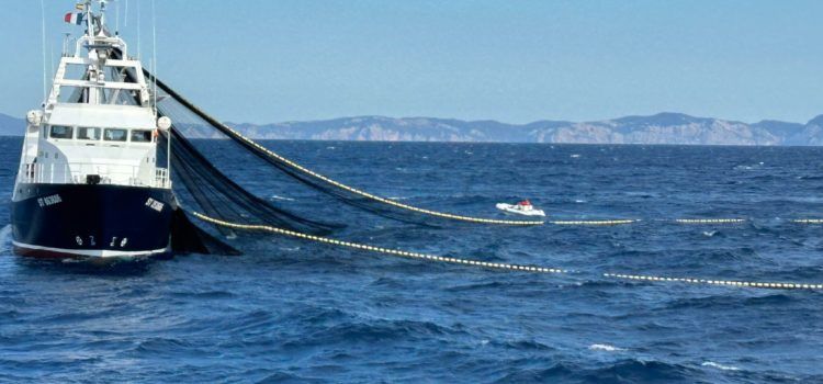Balfegó inicia la campanya de pesca de tonyina roja el 26 de maig