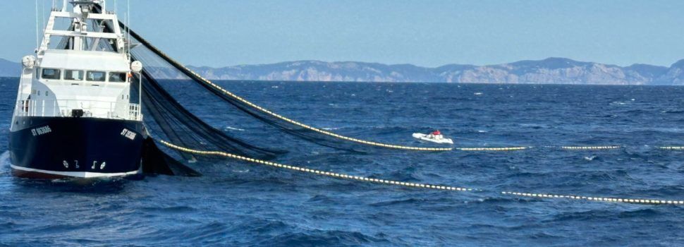 Balfegó inicia la campanya de pesca de tonyina roja el 26 de maig