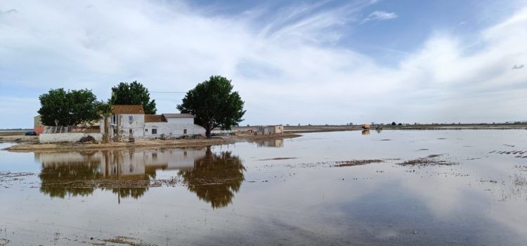 Vinaròs Mail, 18-5-25
