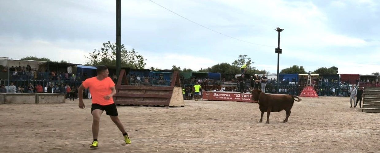 Bous a la plaça en les Festes de Maig a Alcanar