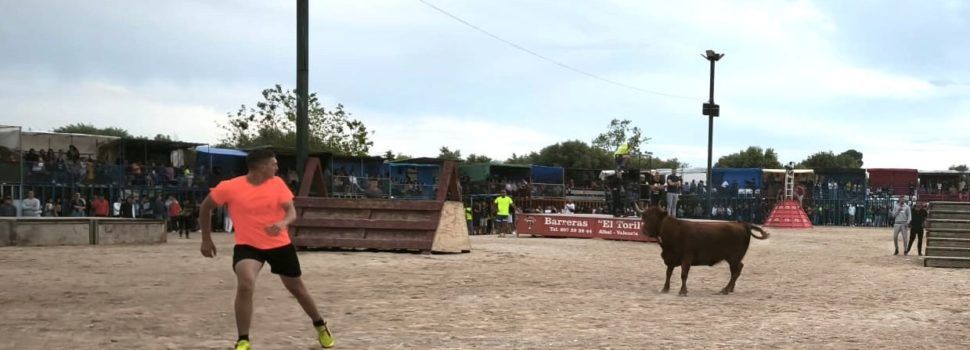 Bous a la plaça en les Festes de Maig a Alcanar