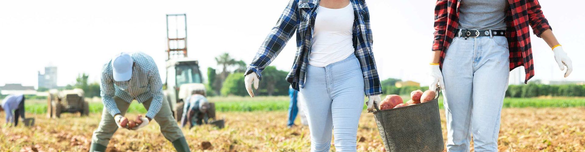 Benihort inicia la campaña veraniega con hortalizas de proximidad de excelente calidad