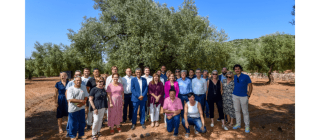 El cens d’oliveres monumentals de Catalunya és de 4.160 exemplars, 3.509 de les quals estan al Montsià