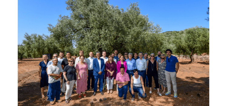 El cens d’oliveres monumentals de Catalunya és de 4.160 exemplars, 3.509 de les quals estan al Montsià