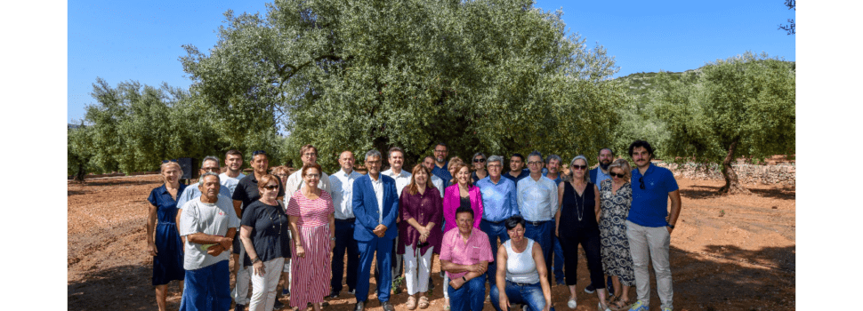 El cens d’oliveres monumentals de Catalunya és de 4.160 exemplars, 3.509 de les quals estan al Montsià