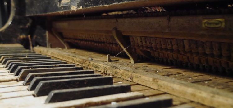 Eufònic obre boca: la setmana vinent, música i art entre oliveres, clementiners i trinxeres