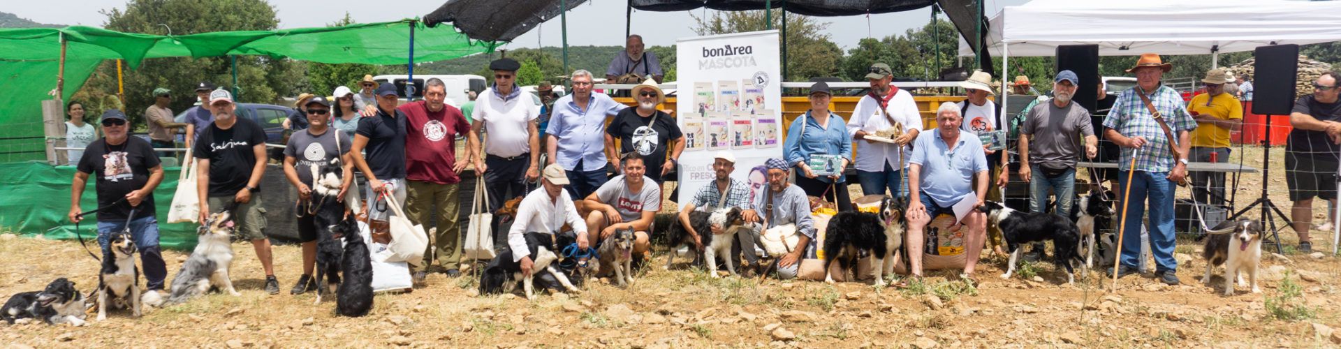 Ares del Maestrat reuneix l’elit del pasturatge en el XVIII Concurs de gossos de rabera