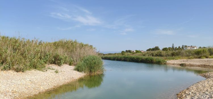 El “parte” del temps: avui entrem a l’estiu meteorològic