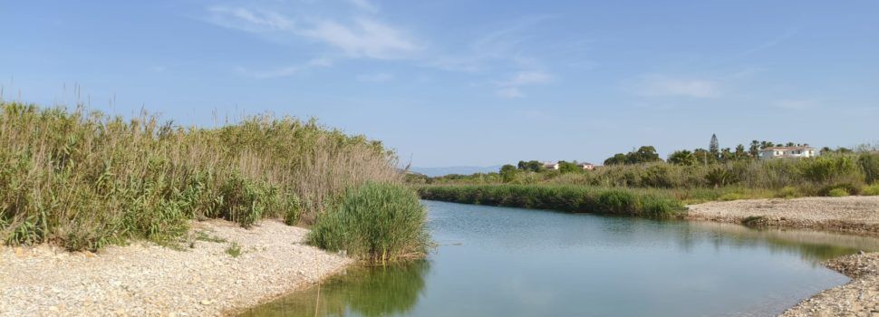 El “parte” del temps: avui entrem a l’estiu meteorològic