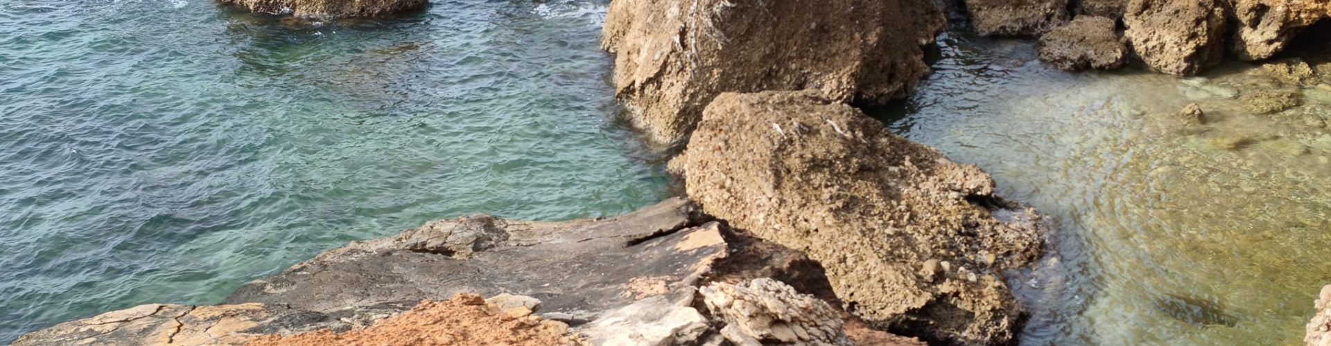 El “parte” del temps: avui i demà seguirà fent calor, diuen que no tanta