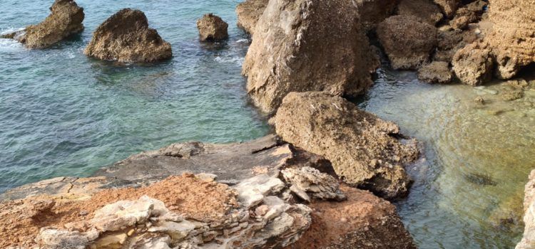 El “parte” del temps: avui i demà seguirà fent calor, diuen que no tanta