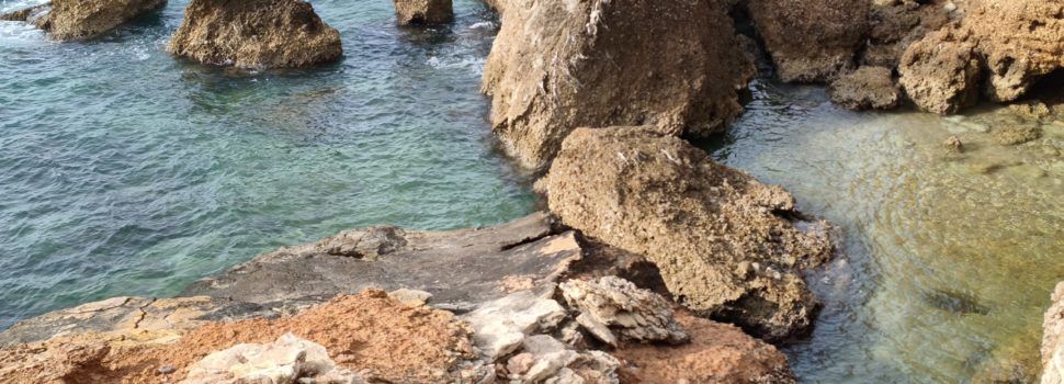 El “parte” del temps: avui i demà seguirà fent calor, diuen que no tanta