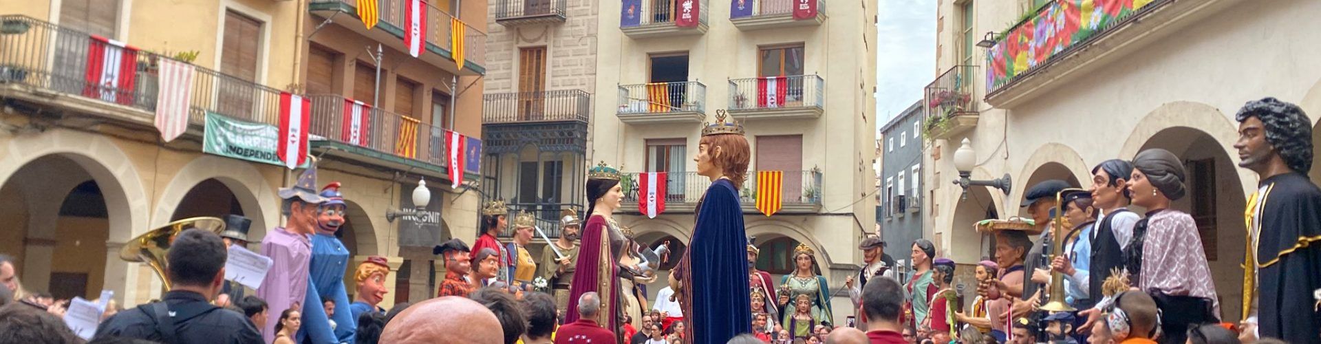 Els nanos i gegants de Vinaròs, en la trobada de Valls