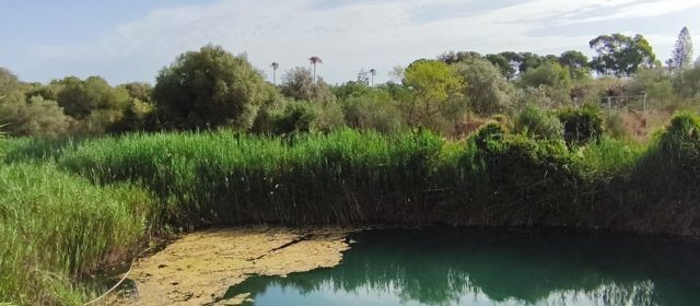 El “parte” del temps: aquesta tarda, alguna tronada despistada