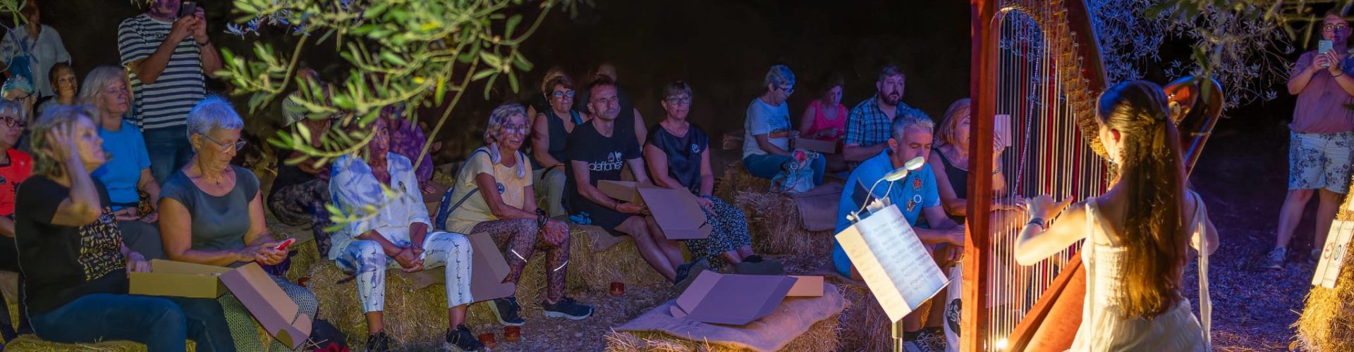 Sant Jordi celebra ‘Oliveres & Estels: El Somni d’una nit d’estiu’, una velada mágica entre olivos milenarios y estrellas
