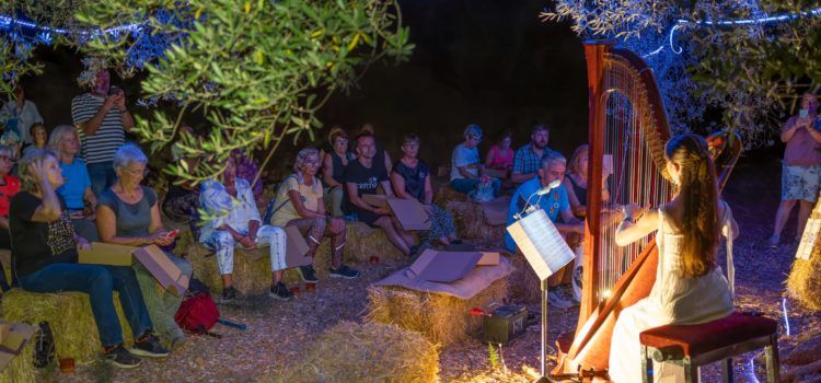 Sant Jordi celebra ‘Oliveres & Estels: El Somni d’una nit d’estiu’, una velada mágica entre olivos milenarios y estrellas