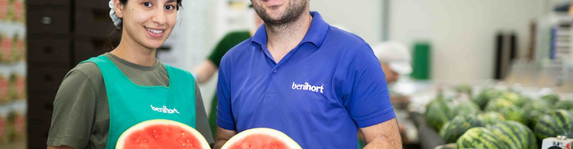 Benihort arranca su campaña de sandía con una previsión de 7 millones de kg